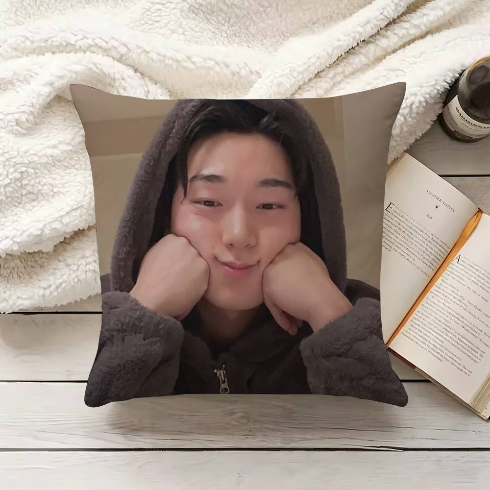 C-Choi S-San Yastık Kılıfı Kan - Home.Textiles Cushion incelemesi ve fiyatı